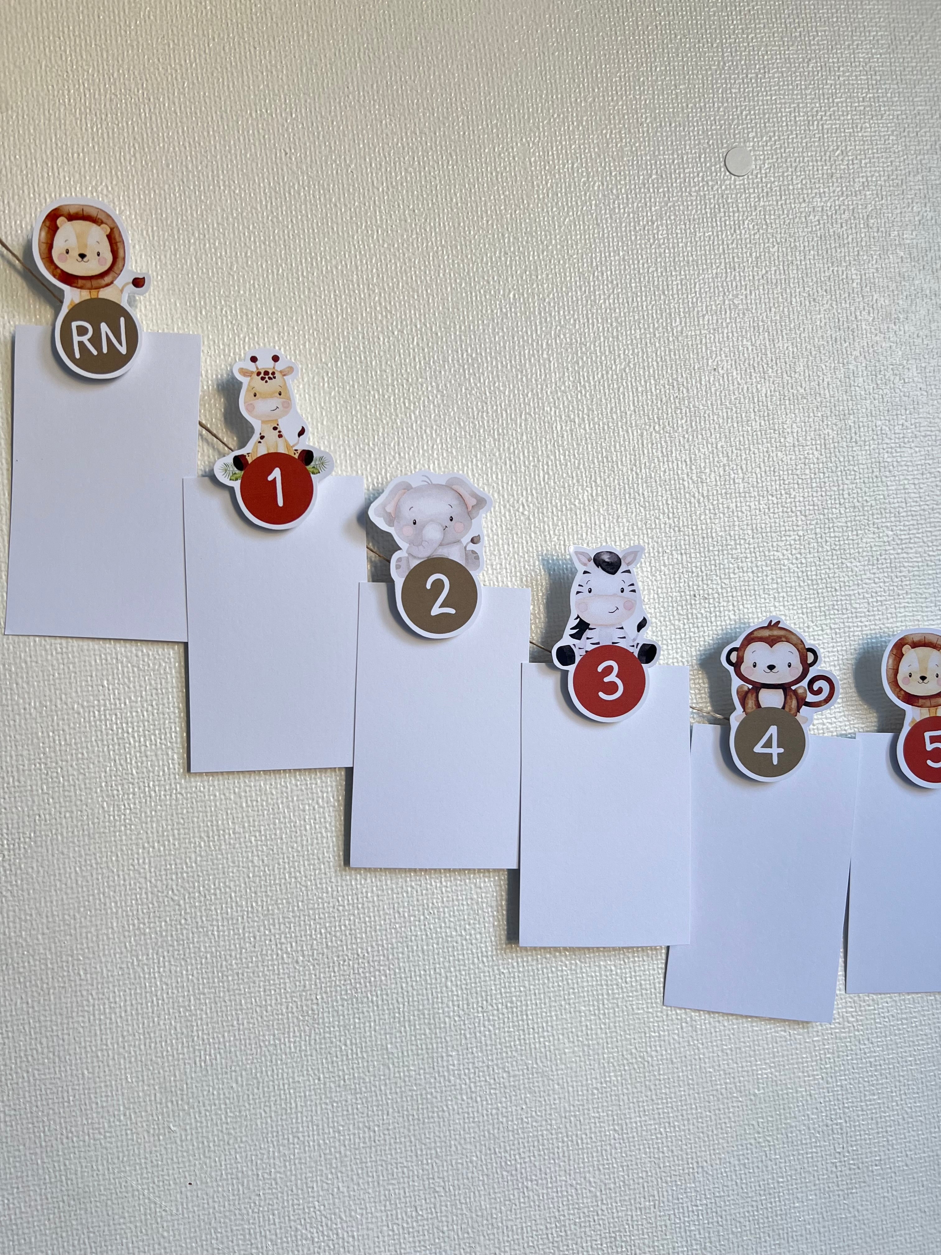 Guirnalda para fotos | Safari