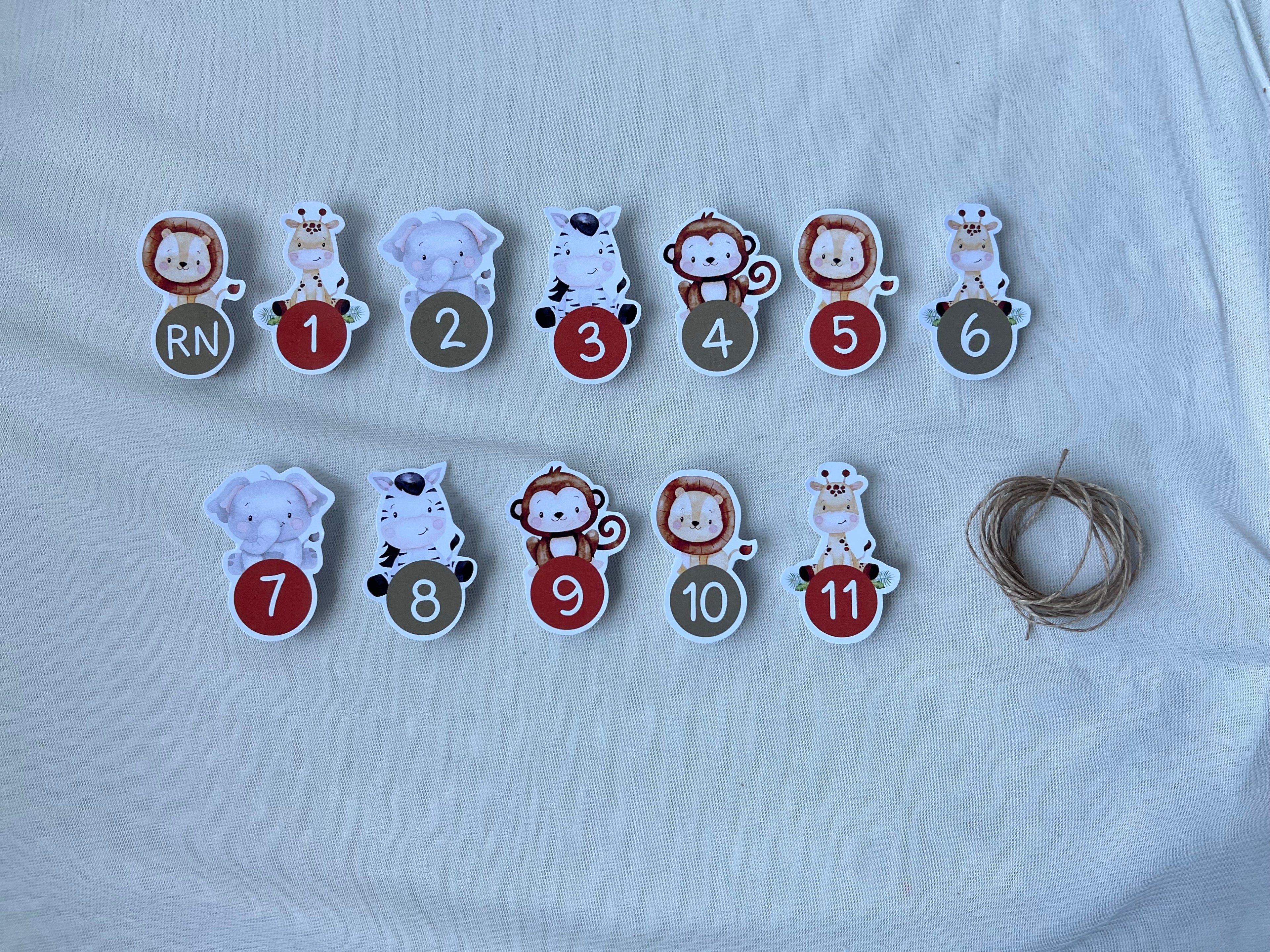 Guirnalda para fotos | Safari