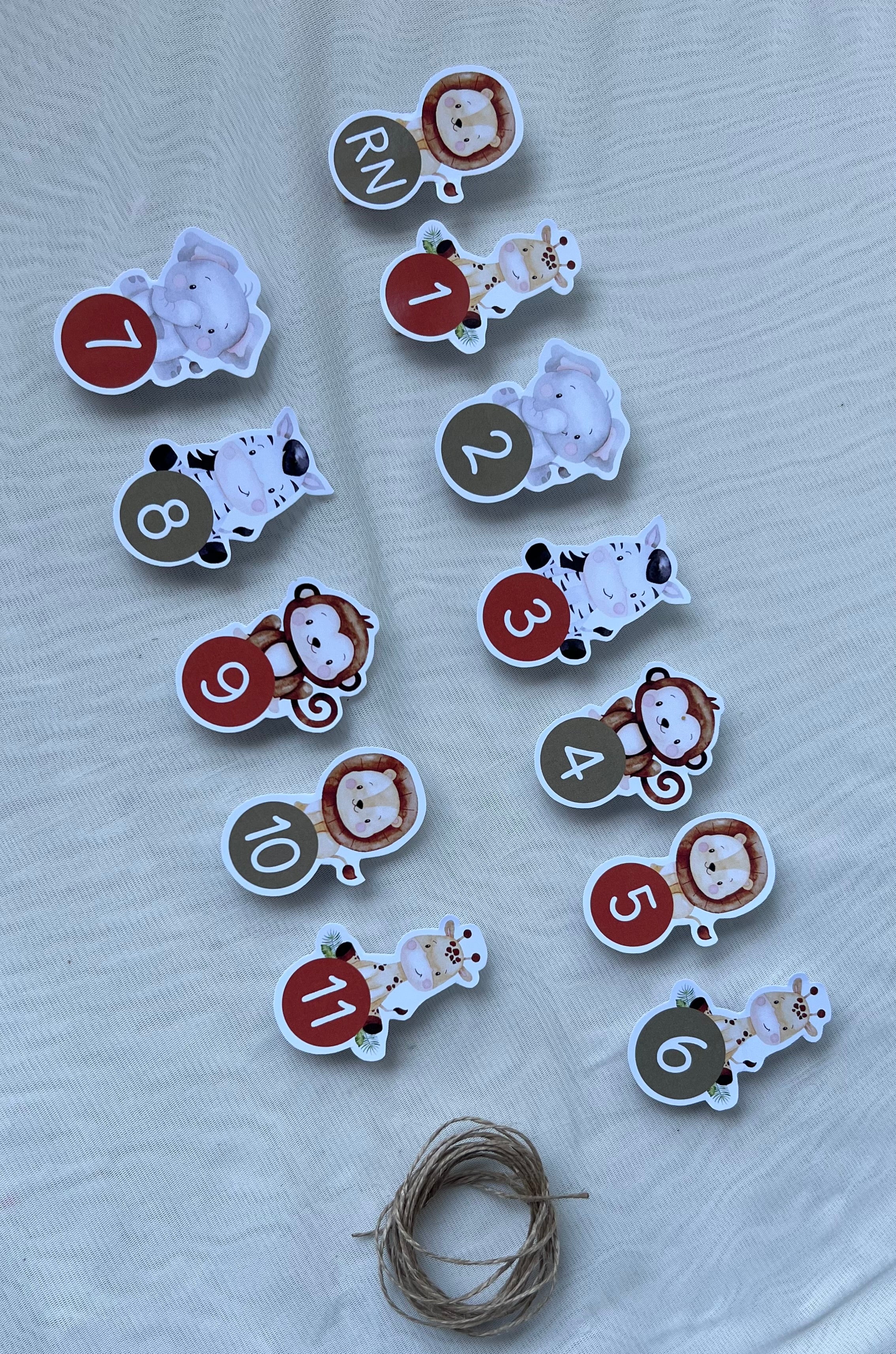 Guirnalda para fotos | Safari