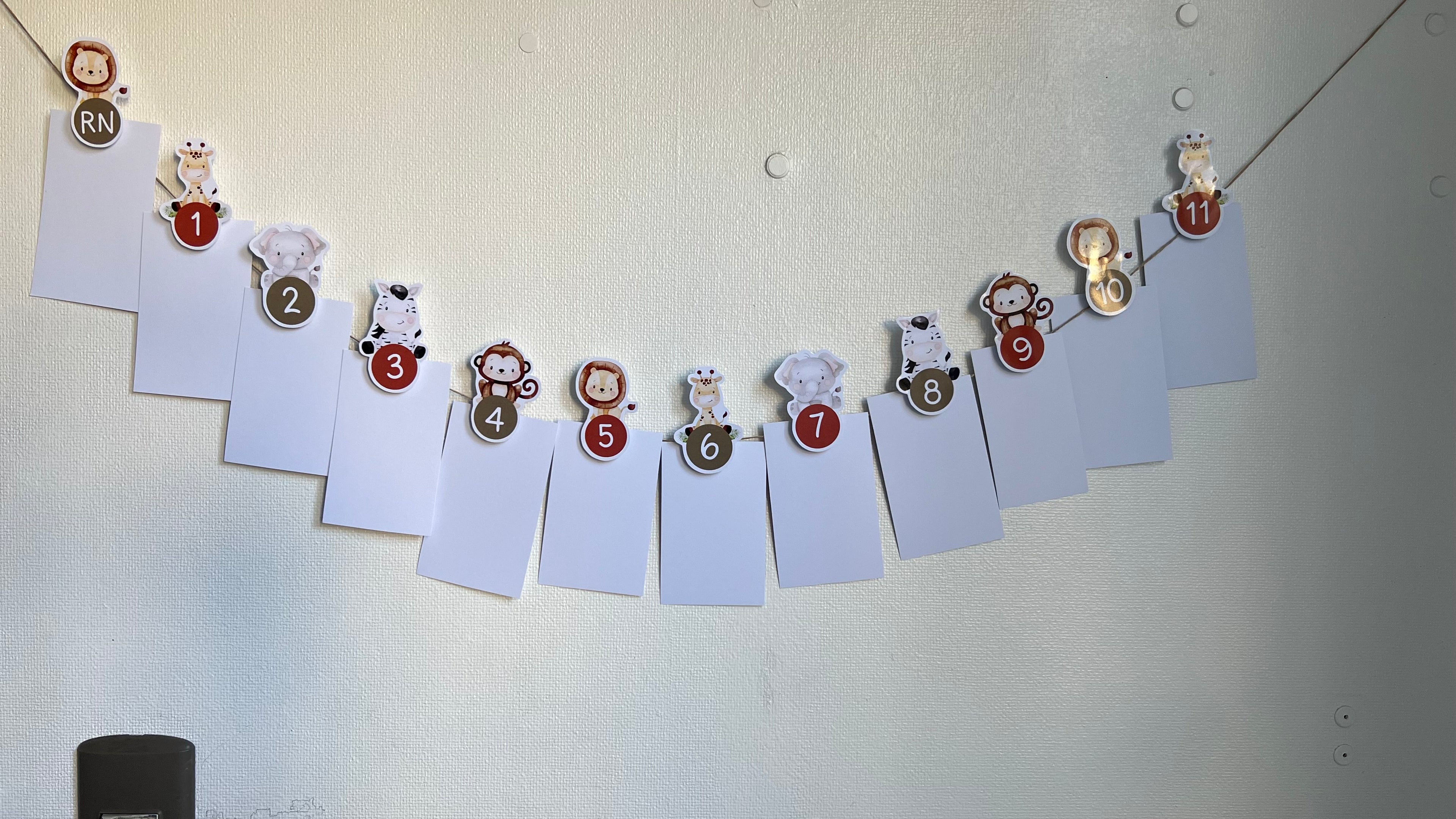 Guirnalda para fotos | Safari