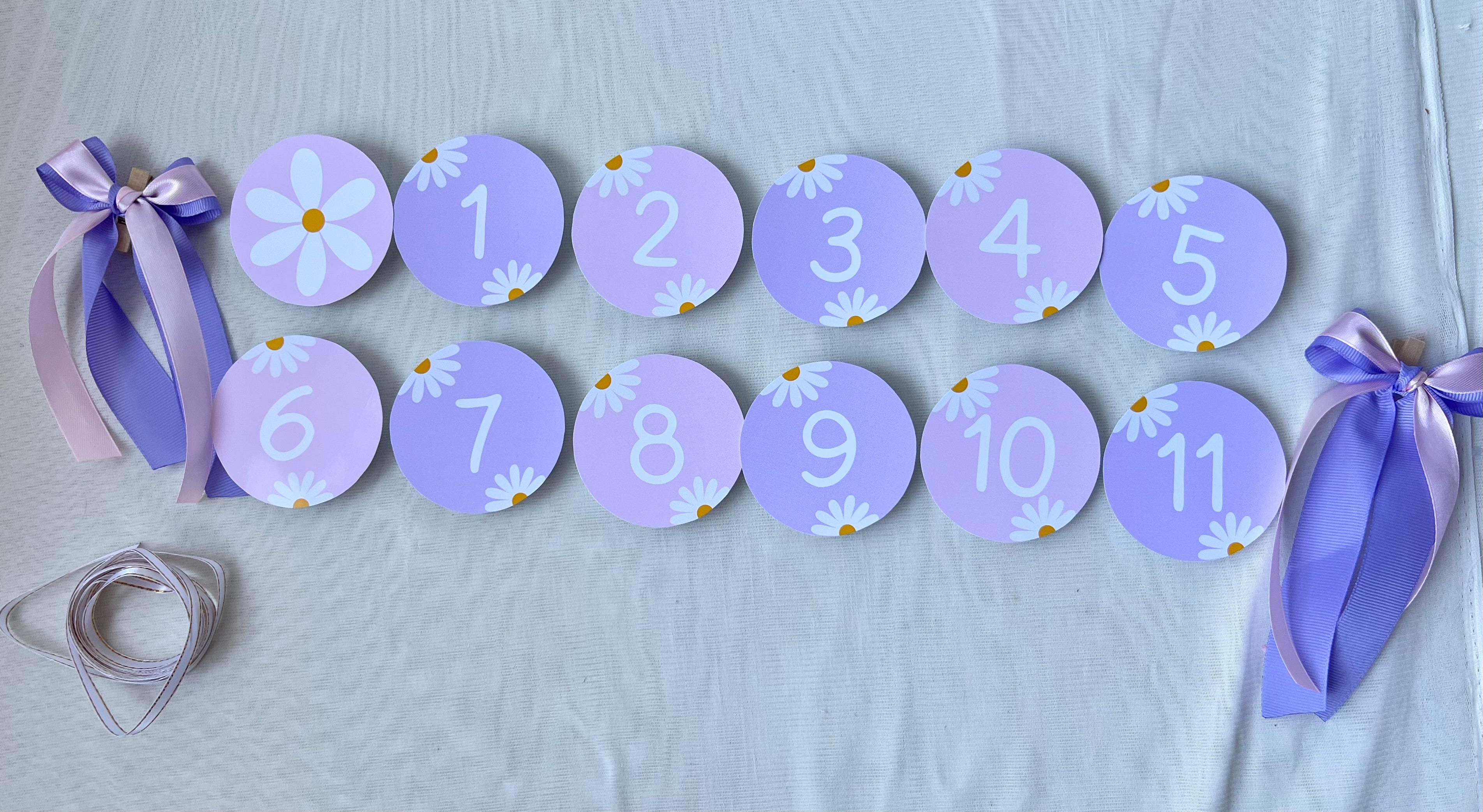 Guirnalda para fotos | Margaritas lila y rosado